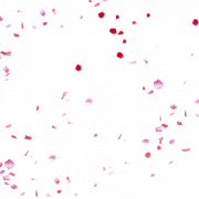 Лепестки роз PNG Clipart