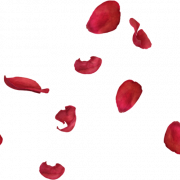 Rose Petals PNG Télécharger limage
