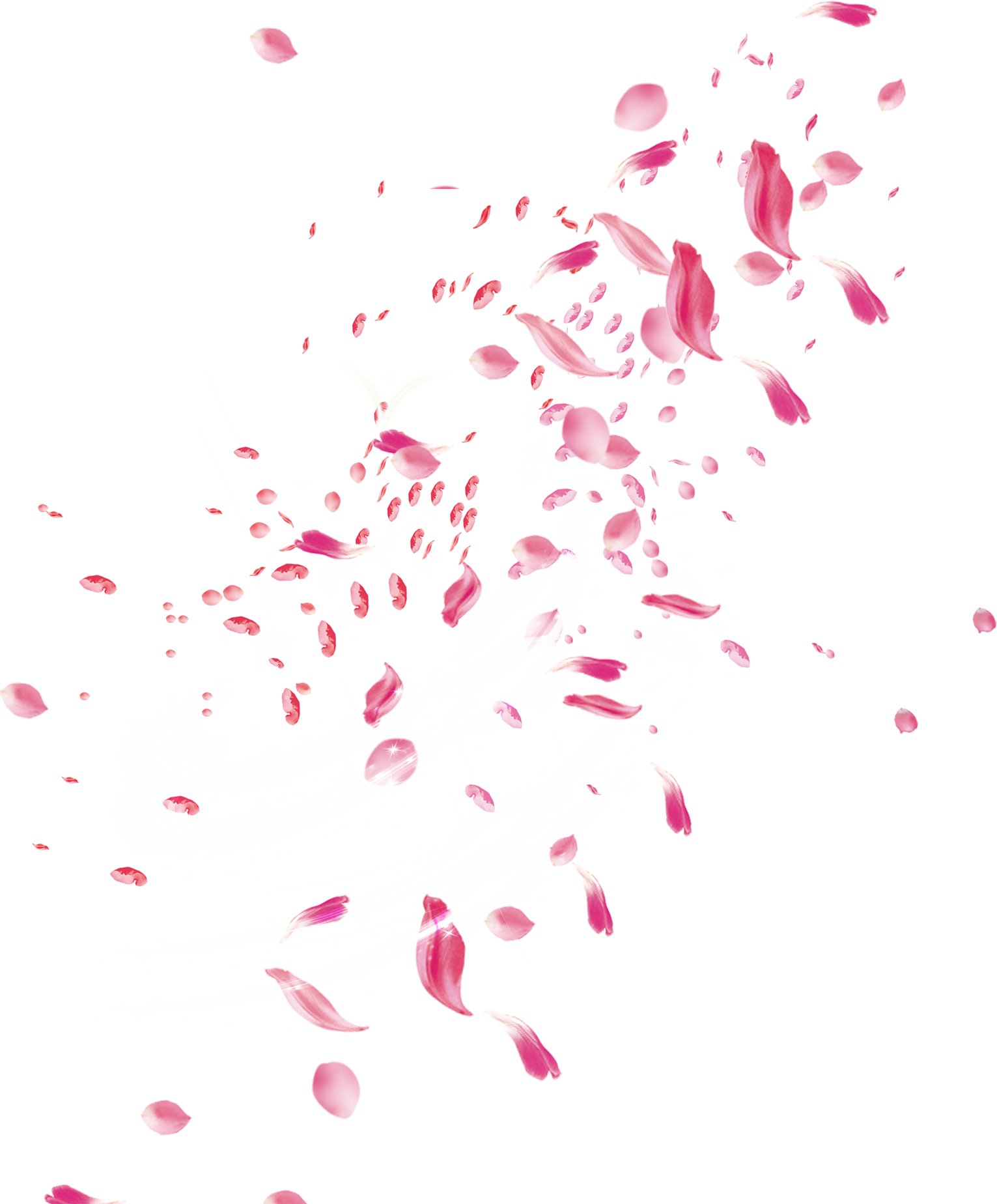 Rose Petals PNG Free Download