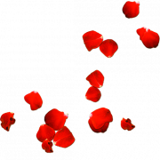 Лепестки роз PNG бесплатное изображение