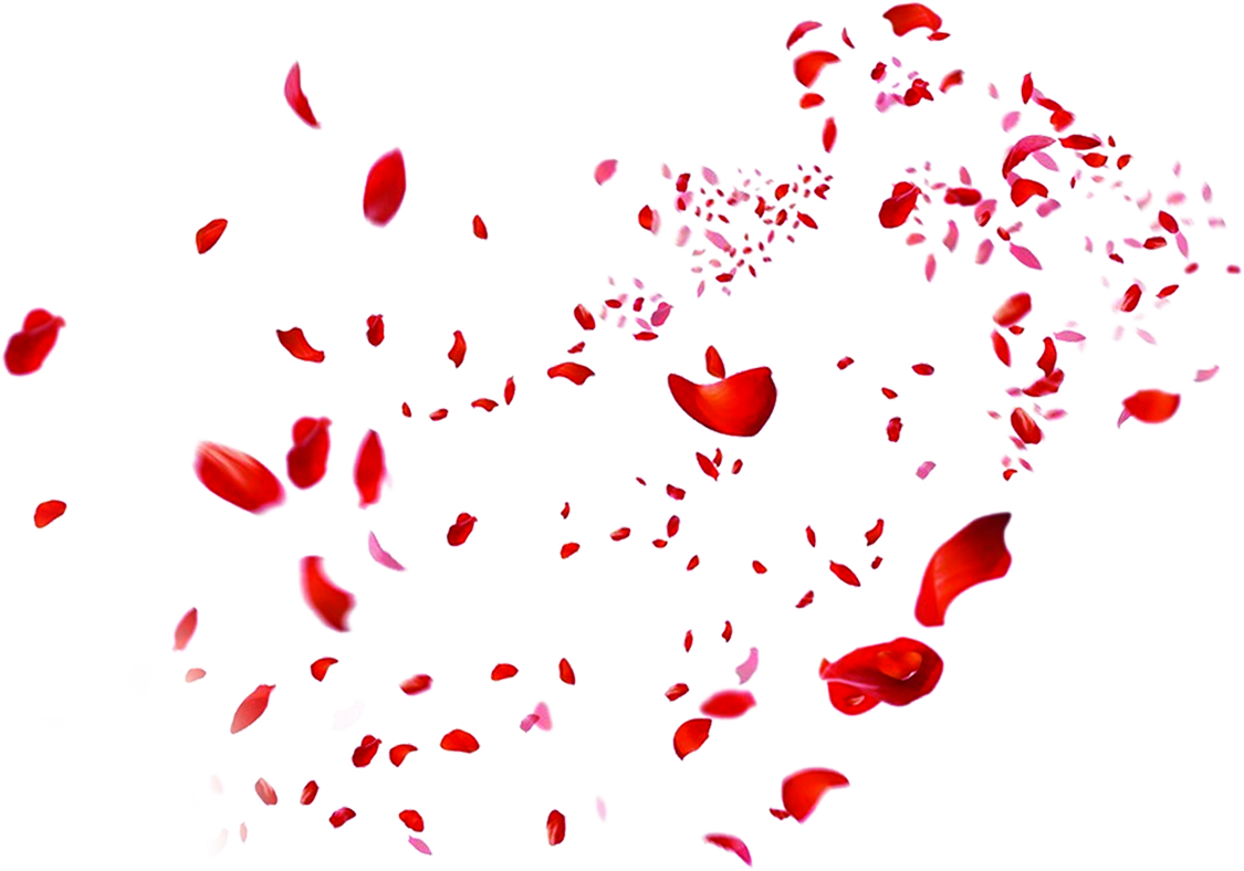 Rose Petals PNG