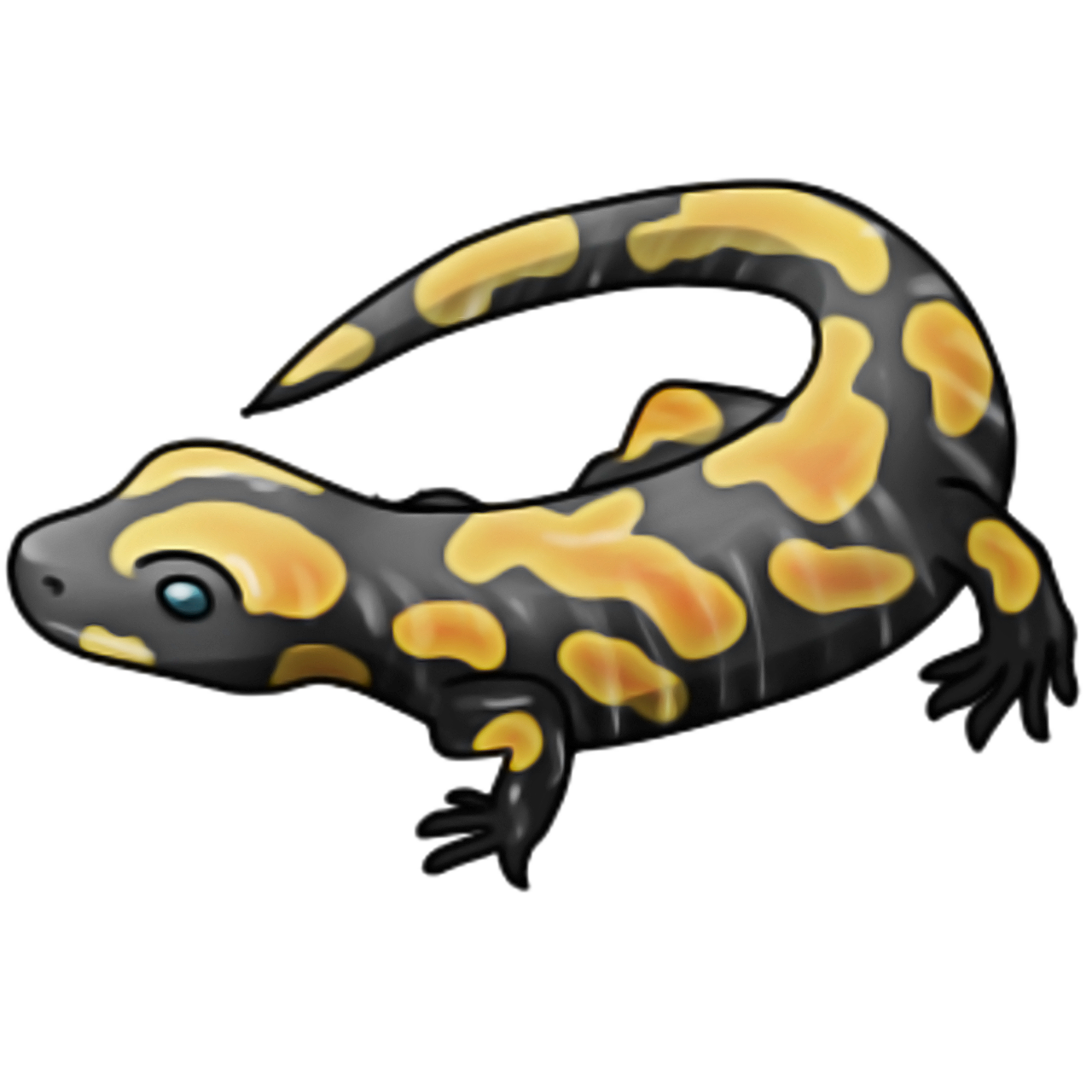 Salamander Lizard PNG Picture