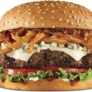 Сэндвич -гамбургер PNG изображение