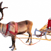 PNG PNG di Babbo Natale Sleigh