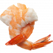 Shrimp png libreng pag -download