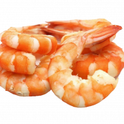Shrimp png pic