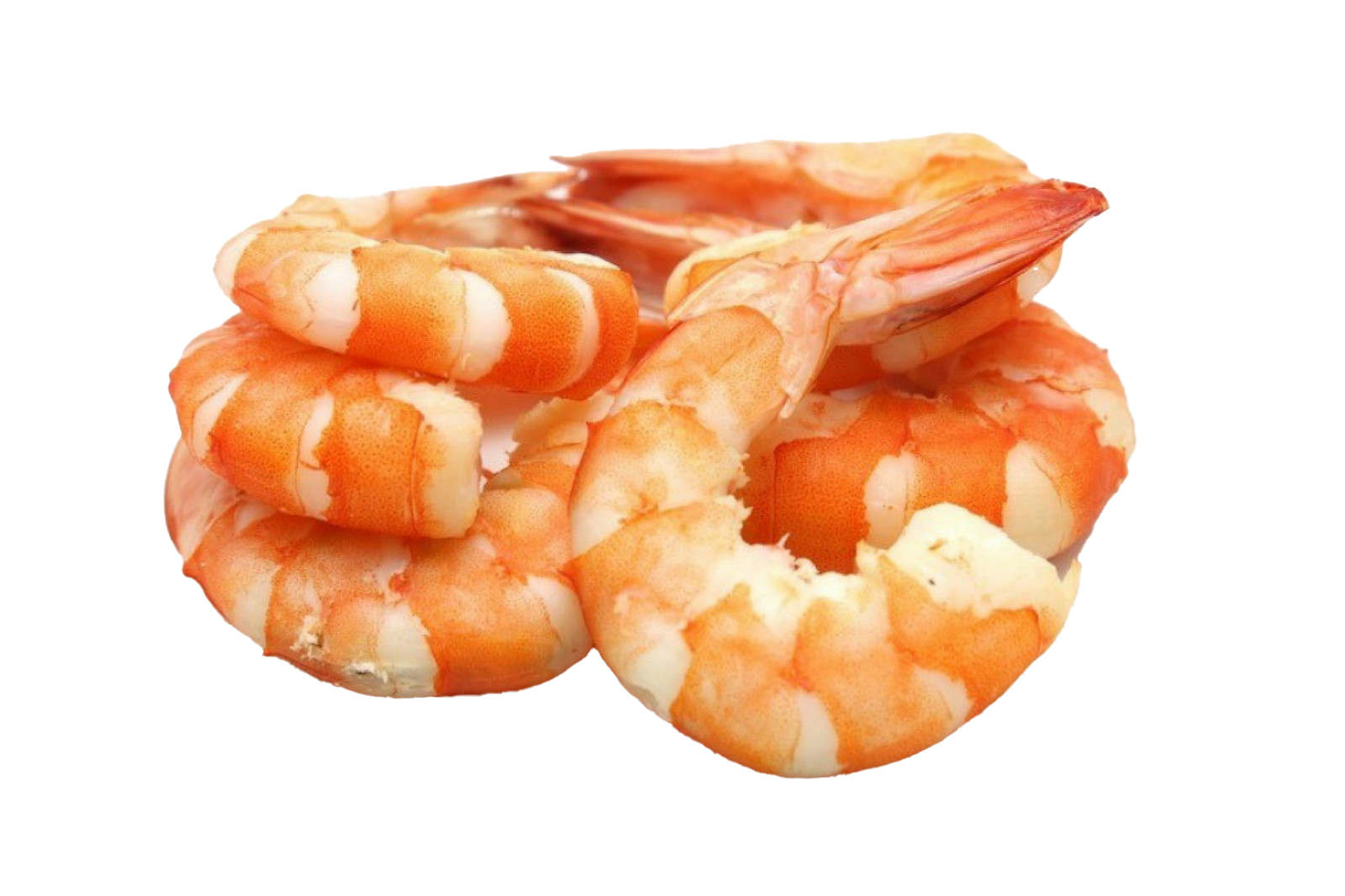 Shrimp PNG Pic