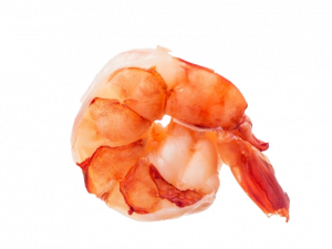 Image PNG des crevettes