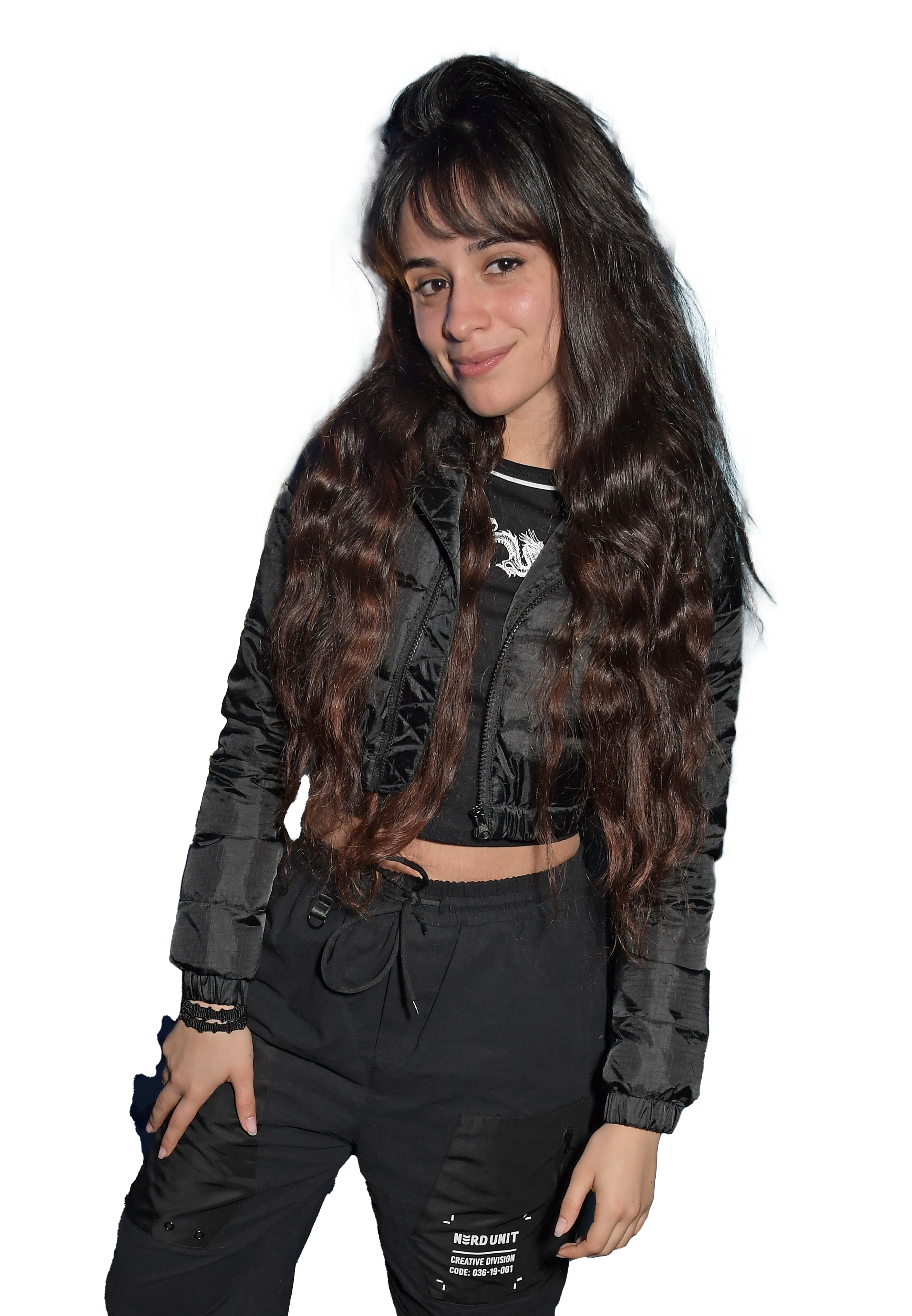 Singer Camila Cabello PNG Images