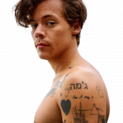 Singer Harry Styles PNG