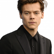 Singer Harry Styles Png Scarica immagine