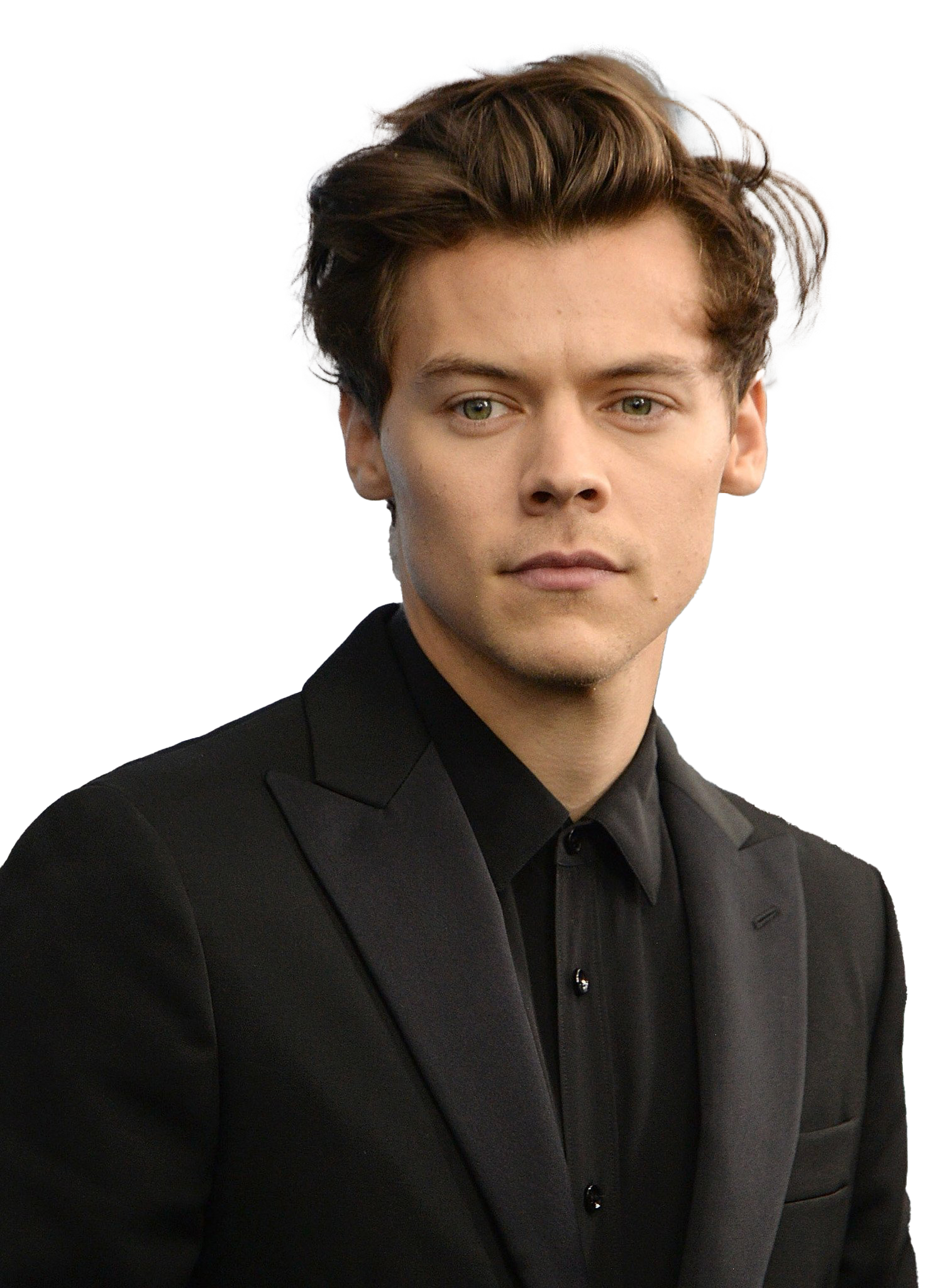 Singer Harry Styles PNG Download Image