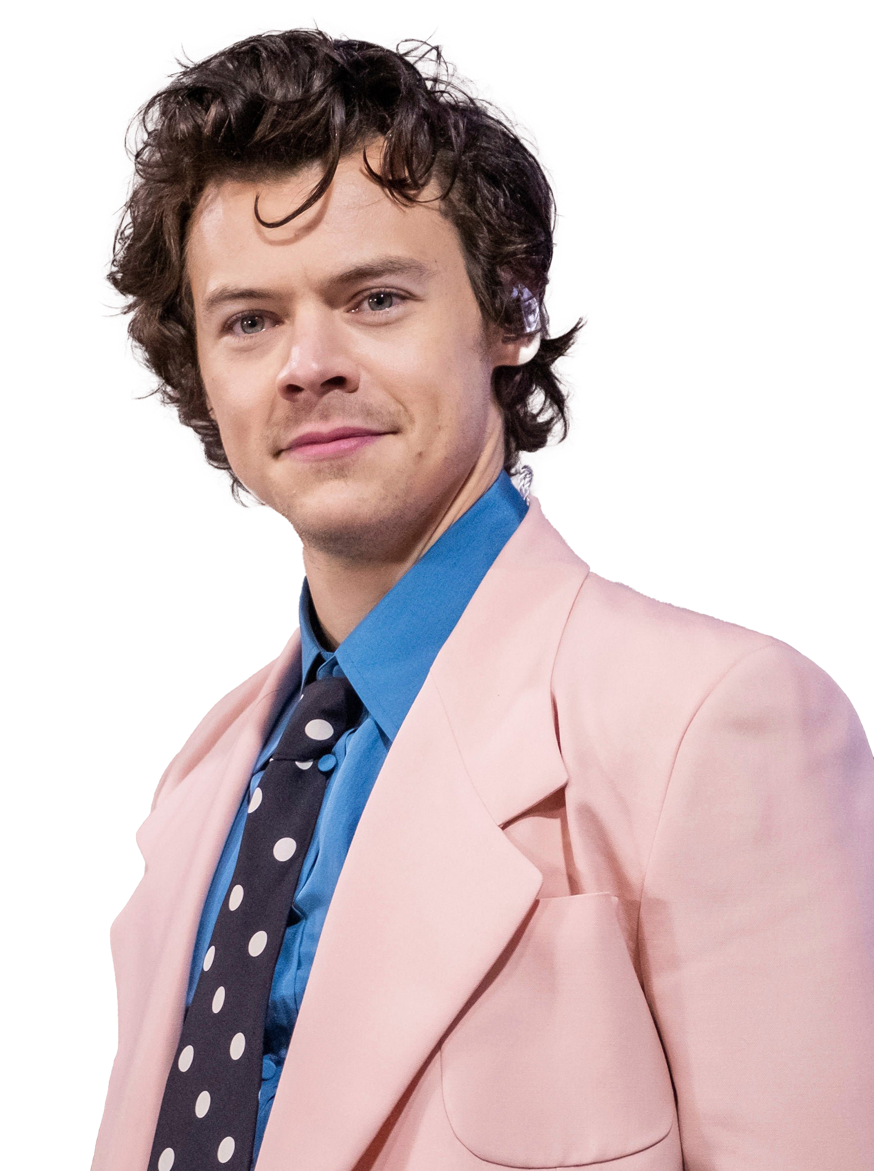 Singer Harry Styles PNG Free Image