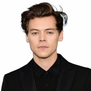 Singer Harry Styles PNG High Quality Image