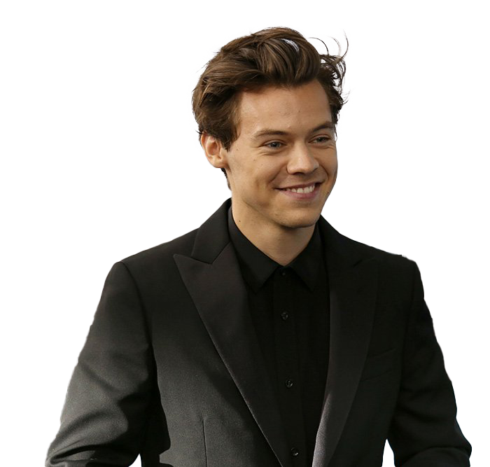 Cantora Foto png harry styles
