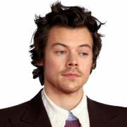 Singer Harry Styles PNG Pic