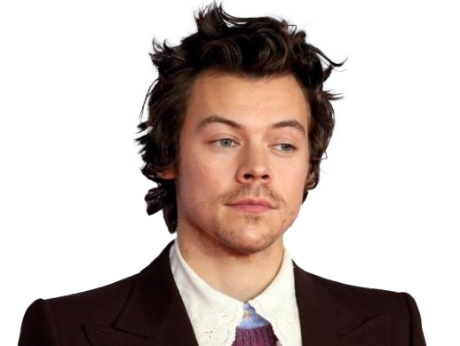 Singer Harry Styles PNG Pic