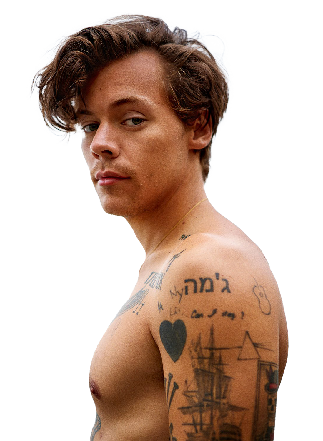 Singer Harry Styles PNG