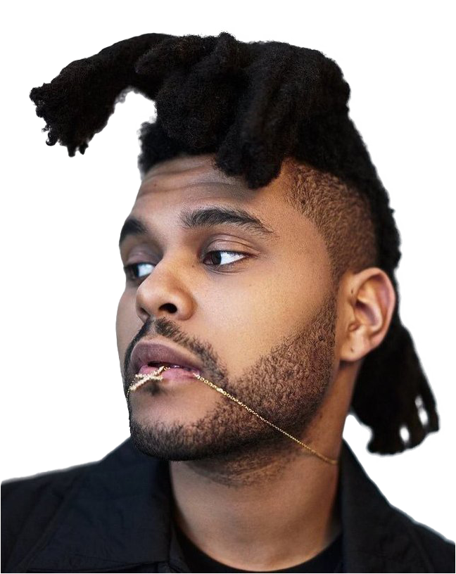 Singer The Weeknd PNG Image