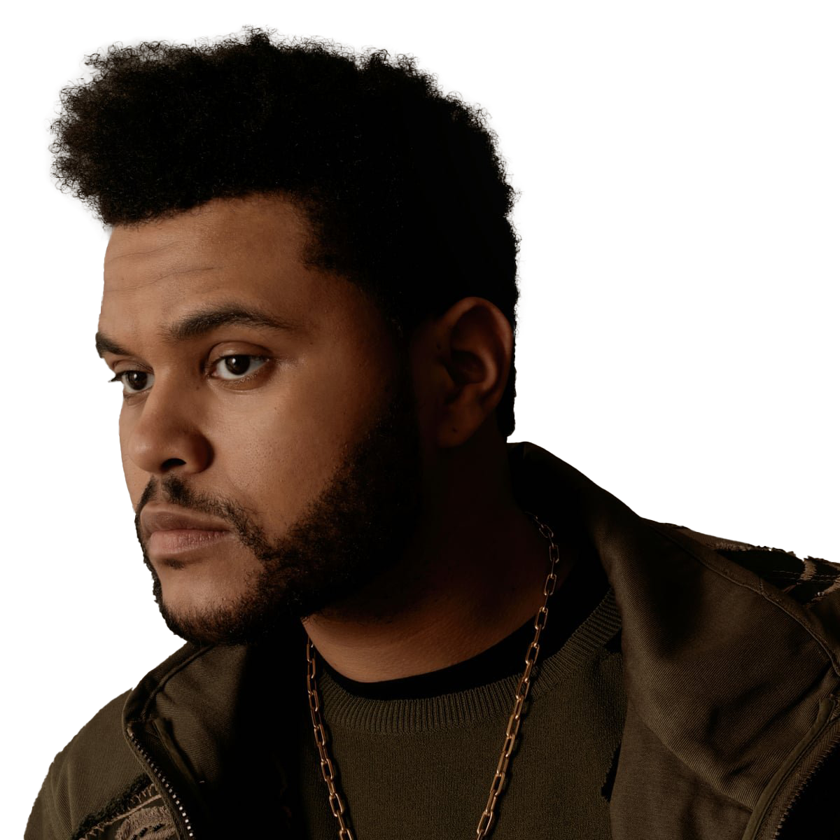 Singer The Weeknd Transparent