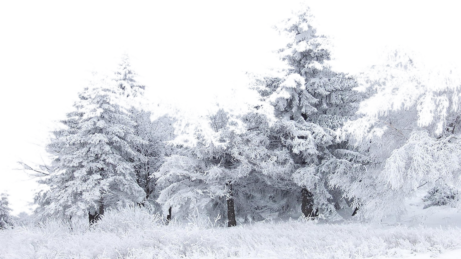 Snow Mountain PNG Clipart