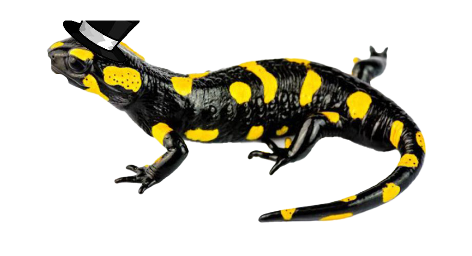 Spotted Salamander PNG Image