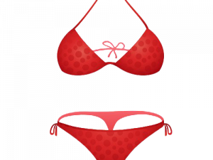 Swimsuit Bikini PNG