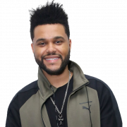The Weeknd Hairstyle PNG