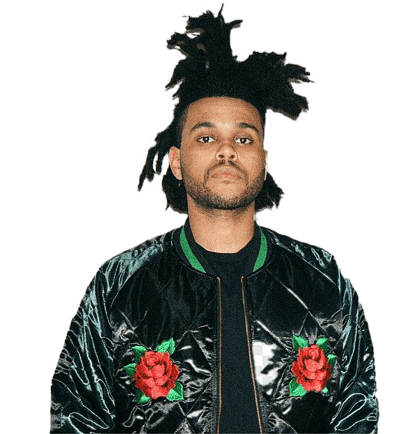 The Weeknd Hairstyle PNG Free Image