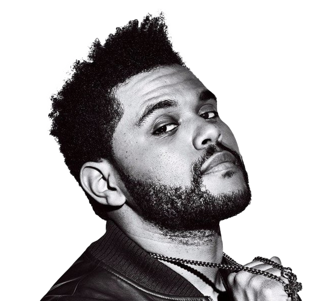 The Weeknd Hairstyle PNG HD Image