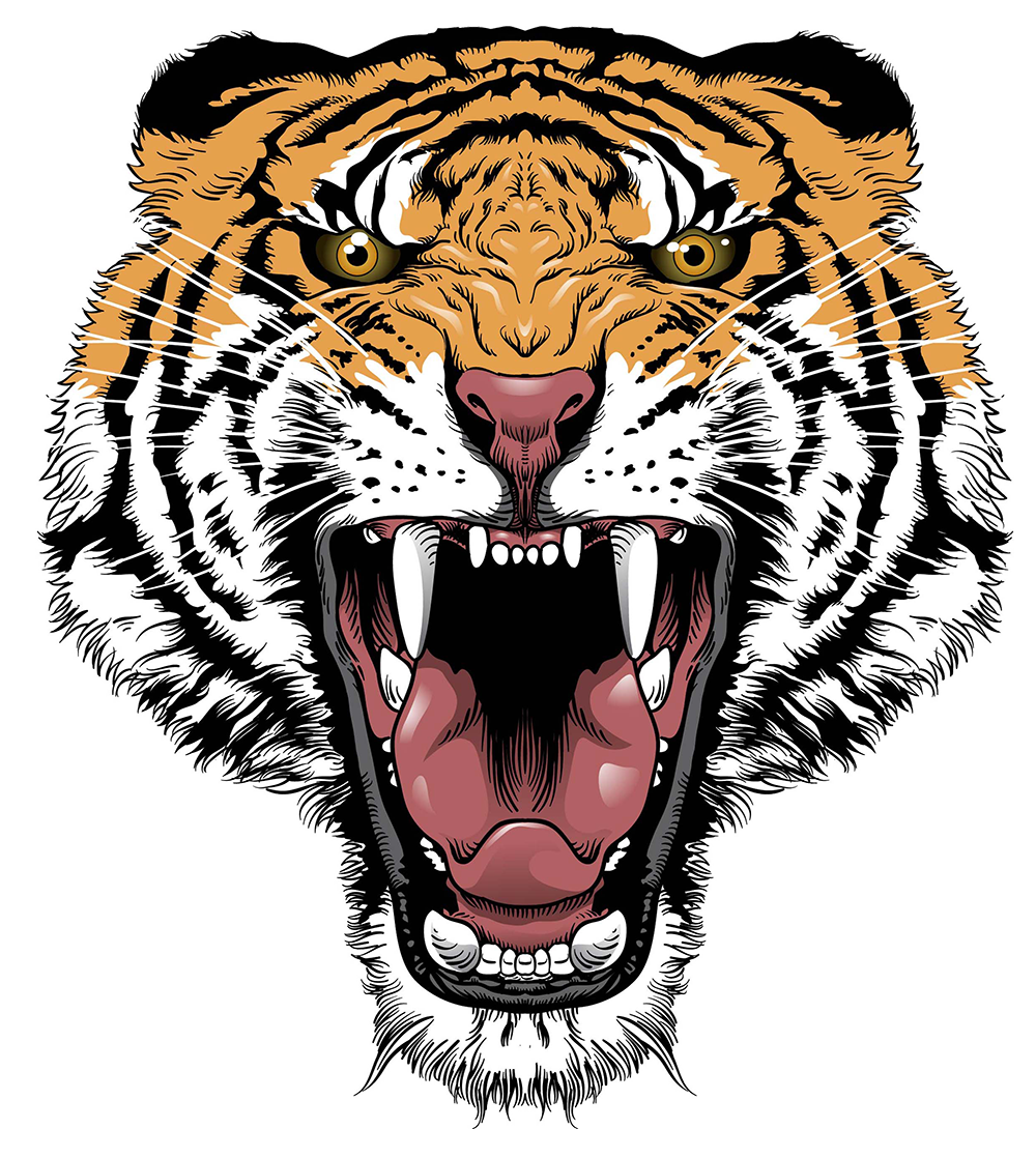 Tiger Roar Transparent