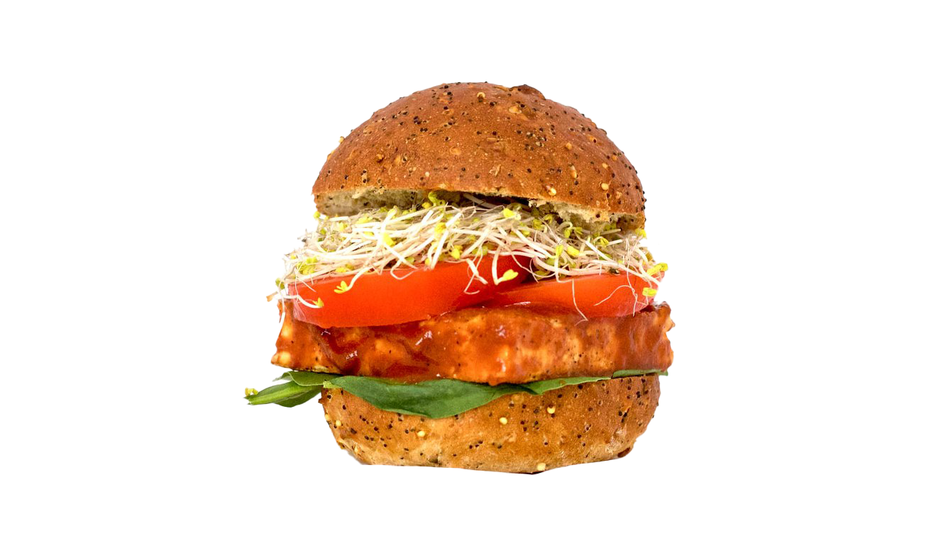 Tofu Burger PNG Download Image