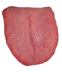 Tongue PNG Image HD