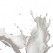 Splash de leite vetorial