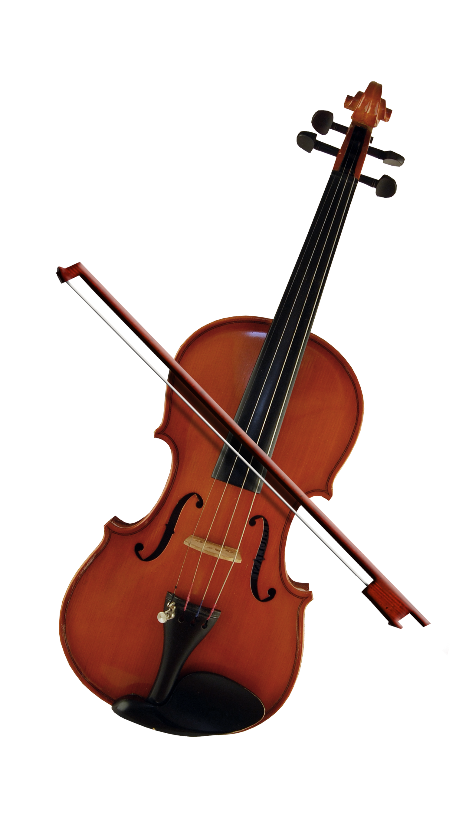 Violoncello Cello