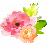 Suluboya Çiçek Png Dosyası Ücretsiz İndir