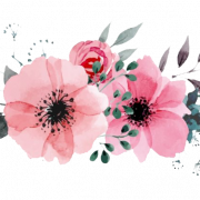 Watercolor Flower PNG Free Download