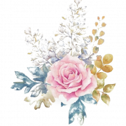 Suluboya Çiçek Png Ücretsiz Görüntü