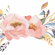 Watercolor Flower PNG Images