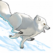 White Arctic Fox PNG Download Image