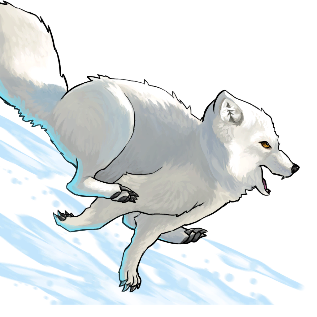 White Arctic Fox PNG Download Image
