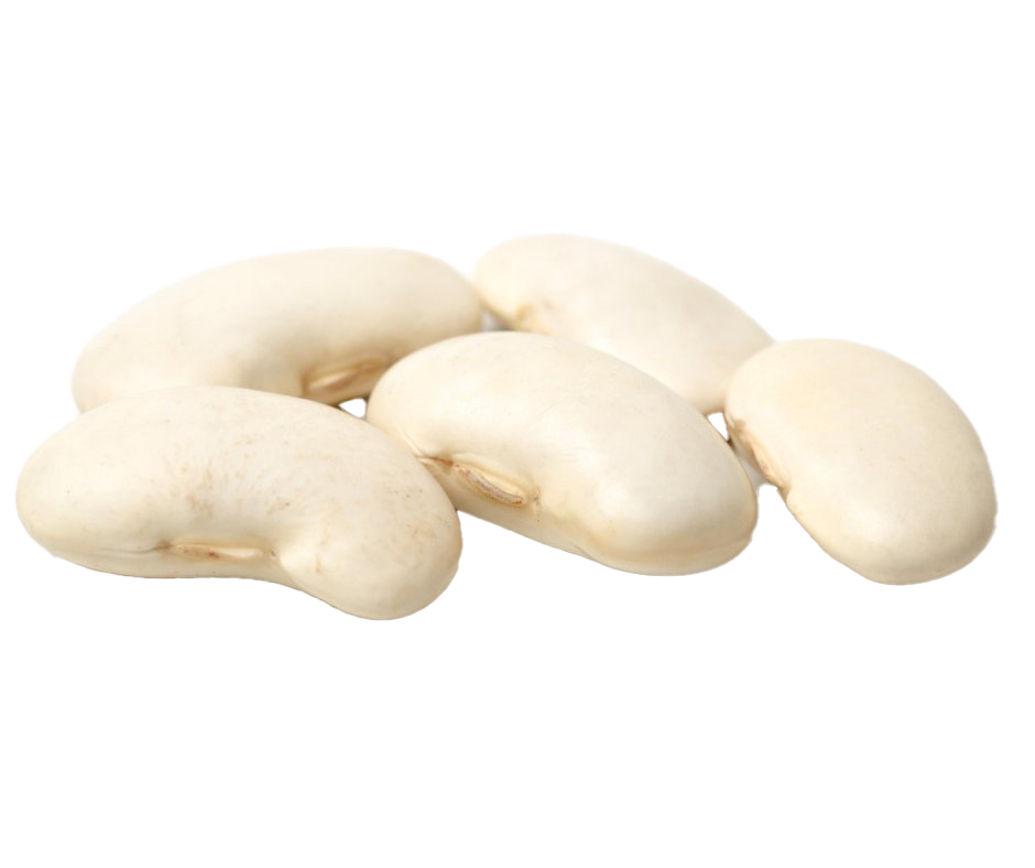 White Kidney Beans PNG