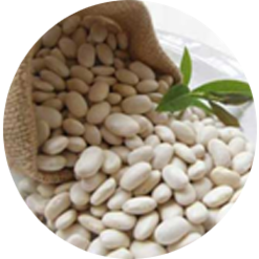 White Kidney Beans Transparent