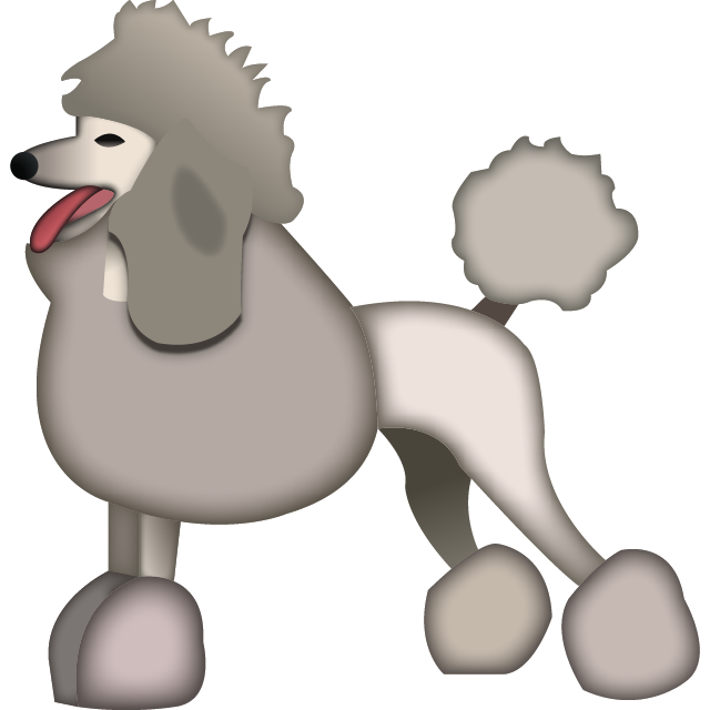 White Poodle PNG Picture