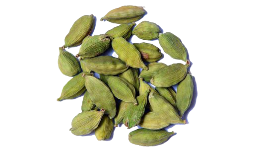 Whole Cardamom PNG Clipart