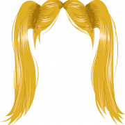 Wig Hair PNG Image