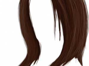 Women Hair PNG HD Image