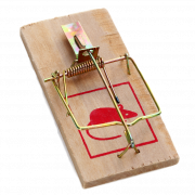 Wooden Mousetrap