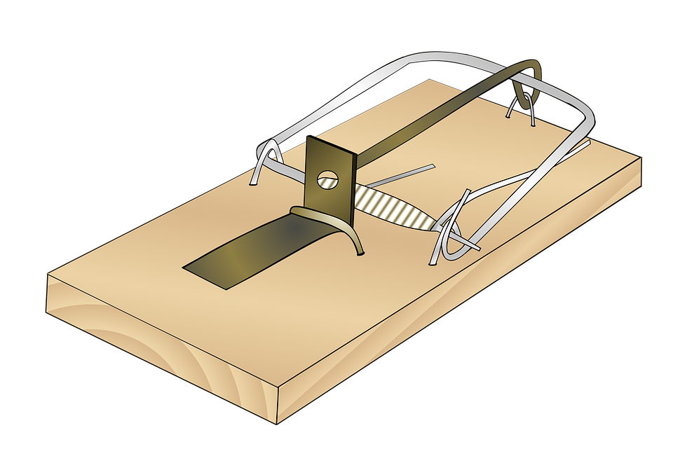 Wooden Mousetrap PNG File