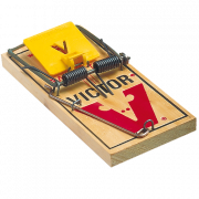 Wooden Mousetrap Png Image HD
